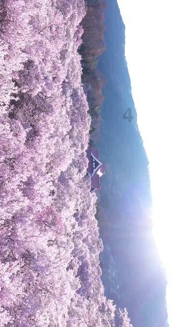 首届亚洲发展论坛在杭启幕 共话亚洲发展新格局