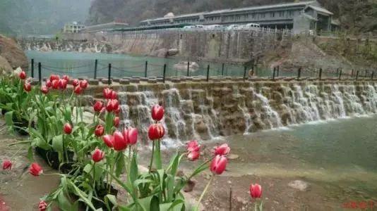 大清皇位继承“传嫡不传庶”，但12位皇帝11位都不是长子，为什么
