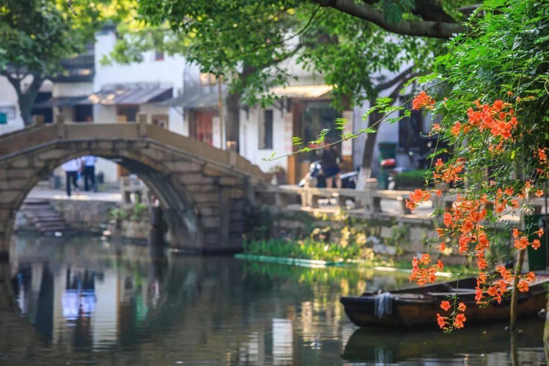精灵格蕾